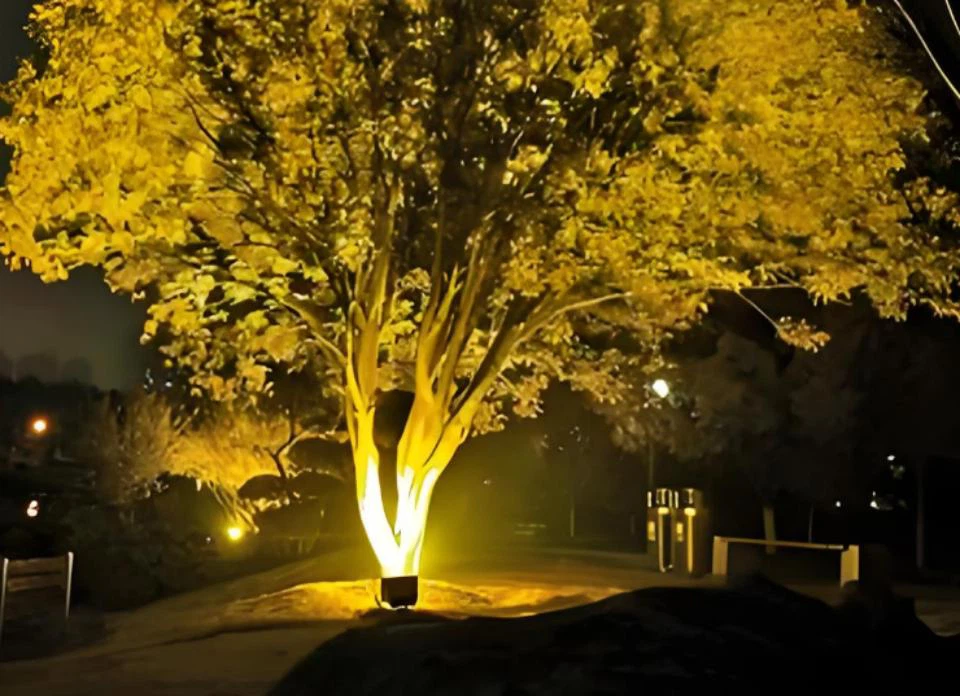 info-960-696 info-960-696